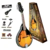 Crescendo Music Bryden Mandolin Starter Package Folk & Native