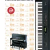 Crescendo Music Alfred Keyboard Chord Chart 2 Crescendo Music Alfred Keyboard Chord Chart