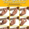 Hal Leonard 3 Chord Songbook Of Great Ukulele Songs