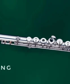 Crescendo Music ORION OFL1158S Open Hole Flute Silver Plated