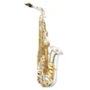 Crescendo Music Jupiter JAS1100SG Alto Saxophone In Eâ™ 1 Crescendo Music Jupiter JAS1100SG Alto Saxophone In Eâ™