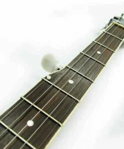 Crescendo Music Folk & Native Vorson 5 String Banjo W/ Electric