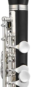 Woodwind Jupiter JPC1100E Grenadilla Wood Piccolo